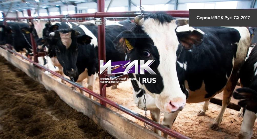 Основные виды коровников, эксплуатируемых животноводами Воркуте и региона